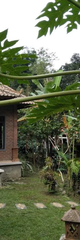 Dina Homestay，位于贾蒂卢维的酒店
