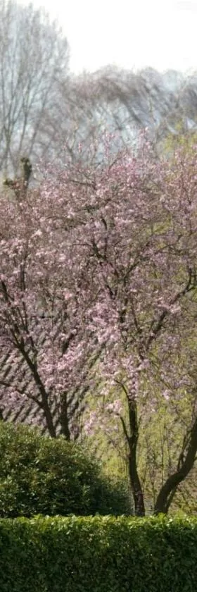 朗科霍夫住宿加早餐旅馆，位于Herne的酒店