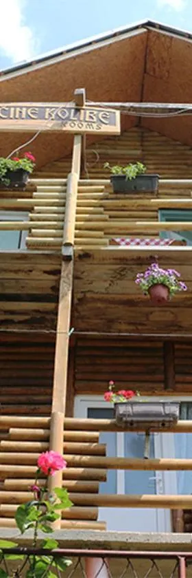 Chalet Ljubicine kolibe，位于Golubinje的酒店