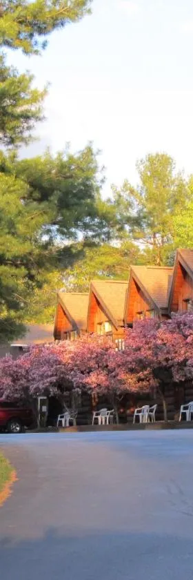 Nootka Lodge，位于Woodsville的酒店