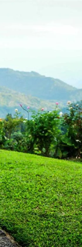 哈他勒茶庄简易别墅乡村民宿，位于Madulkele的酒店