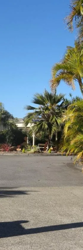 福斯特棕榈树汽车旅馆，位于福斯特的酒店