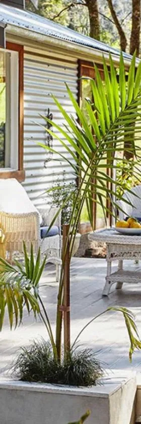 Birdsong Bellingen Farm，位于Thora的酒店