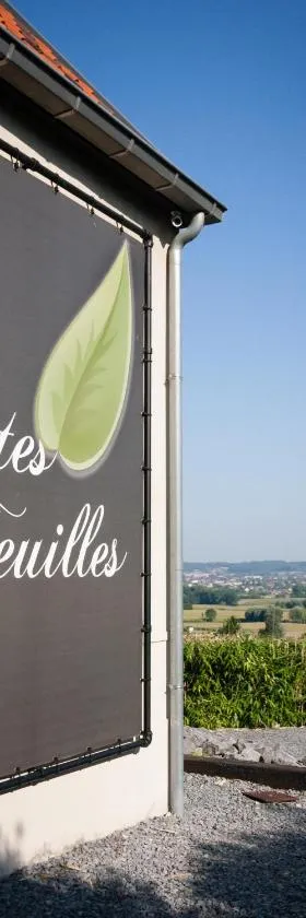 Vertes Feuilles，位于Saint-Sauveur的酒店