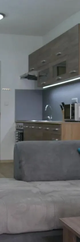 Všemina Apartman，位于Lužkovice的酒店
