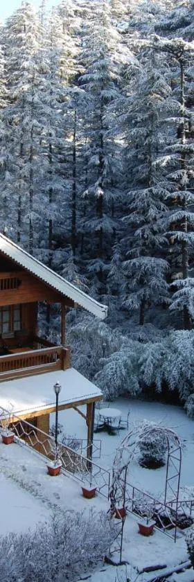 The Chalets Naldehra，位于西姆拉的酒店