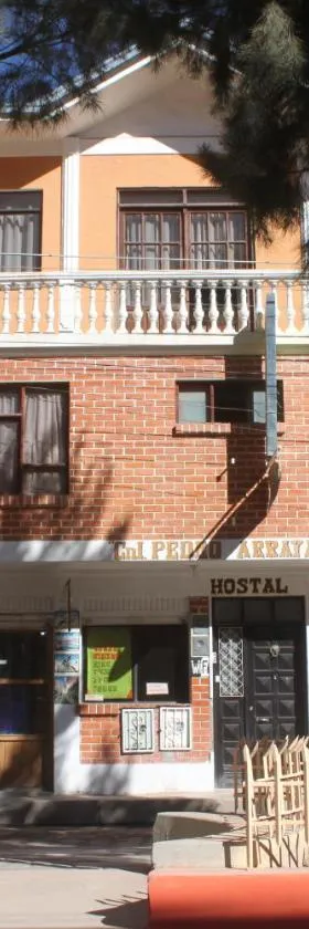Hostal Coronel Pedro Arraya，位于图皮萨的酒店