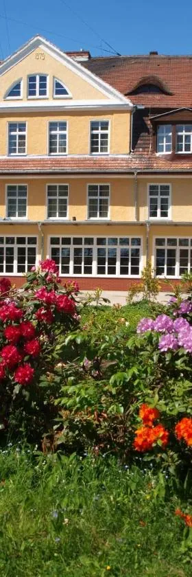 Hotel i Restauracja Chopin，位于扎雷的酒店
