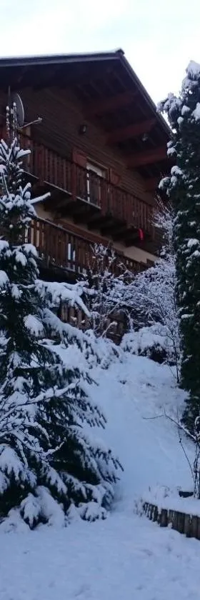 appartement indépendant chalet "les Ormes"，位于Enchastrayes的酒店
