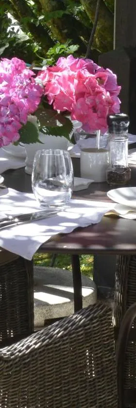 Logis Hotel - Restaurant Le Relais de Comodoliac，位于圣瑞尼安的酒店