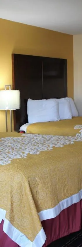 蓝草旅馆，位于法兰克福的酒店