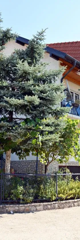 "Athos"apartment potkrovlje，位于维舍格勒的酒店