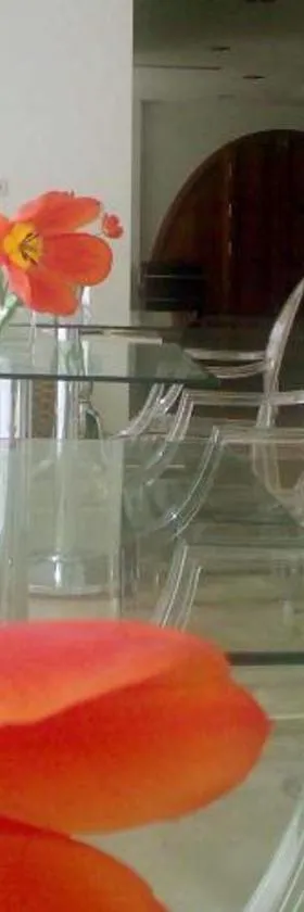 埃佩德沃兹德拉瑞纳拉纳酒店，位于陶斯特的酒店