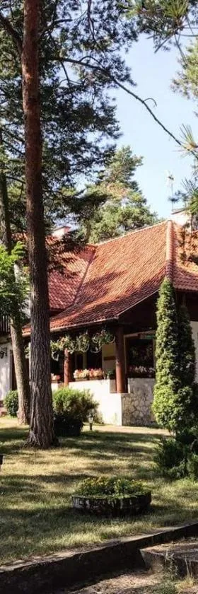 Leśny Dworek，位于维什库夫的酒店