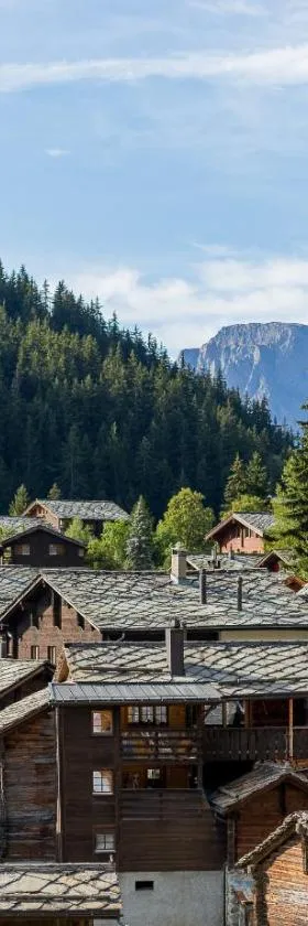 Hotel Blattnerhof，位于布拉腾的酒店