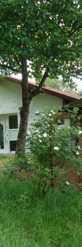 Gite de Moulin Maurt，位于Xertigny的酒店