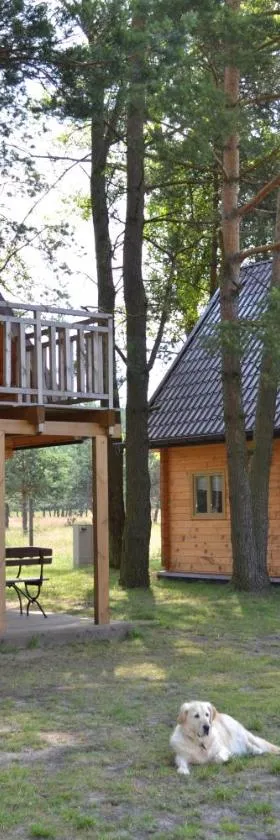 Camping Szczecinek Domy Wypoczynkowe，位于什切齐内克的酒店