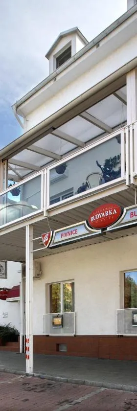 Penzion Budvarka，位于霍多宁的酒店