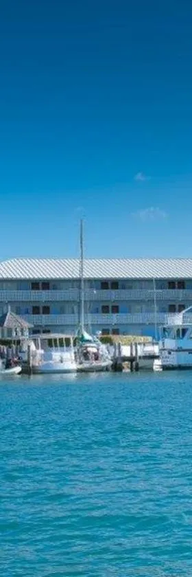 弗拉明戈湾和滨海酒店，位于自由港市的酒店