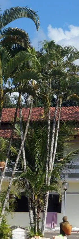 Pousada Do Bosque，位于Itajuípe的酒店