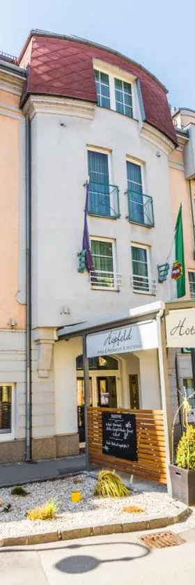 Familie Hopfeld - Hotel Dreikönigshof，位于施托克劳的酒店