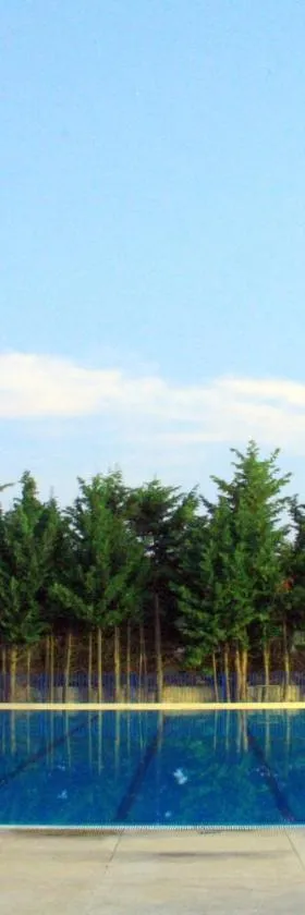 塞拉德拉斯涅韦斯露营地，位于Yunquera的酒店