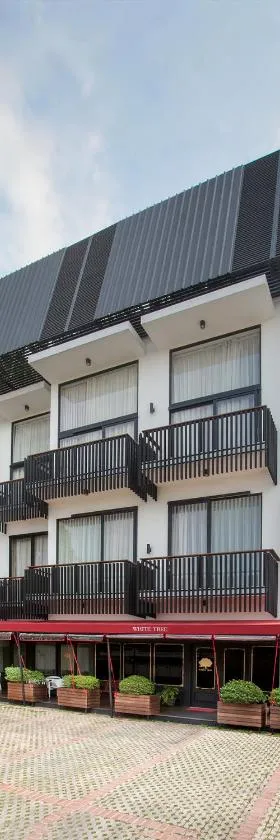 白树住宅酒店，位于雅加达的酒店