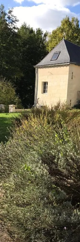 Gite Nature Loire et Châteaux 3*，位于维朗德里的酒店
