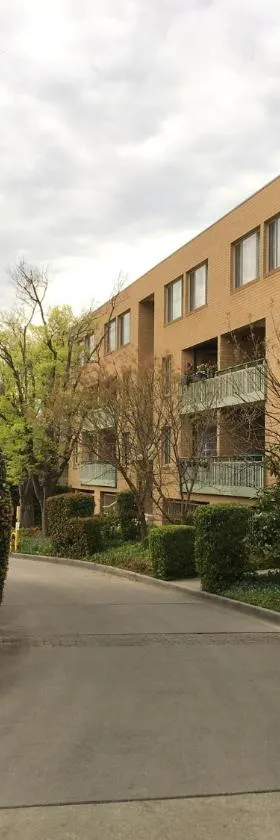Kingston Comfy Apartment，位于金斯顿的酒店