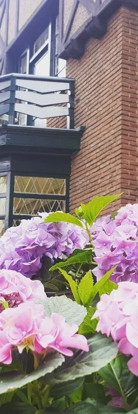 Vakantiewoning Guesthouse MOMO，位于迪尔森-斯托科姆的酒店
