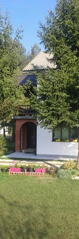 Rooms Danica，位于Donji Babin Potok的酒店
