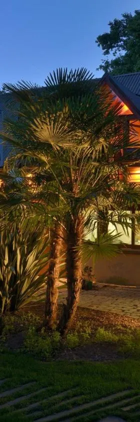 la maison dans les bois，位于Soucelles的酒店