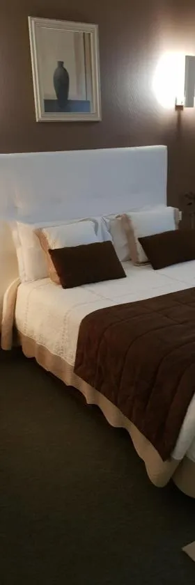 Hotel Christina，位于沙托鲁的酒店