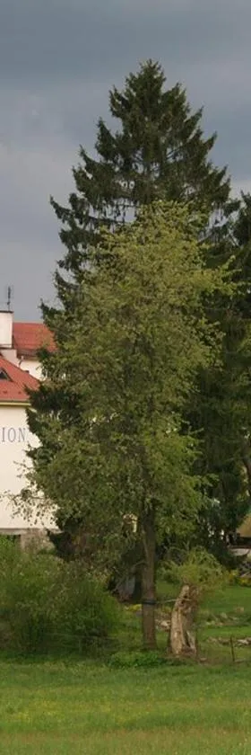 Pension Pod Šibeňákem，位于Strmilov的酒店