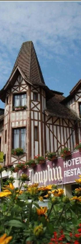 Logis Hôtel et Restaurant du Dauphin，位于塞的酒店