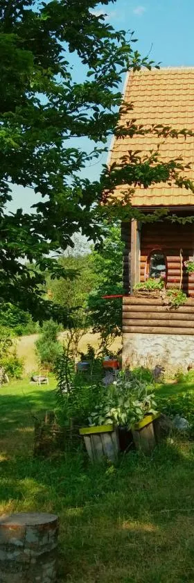 Mountain house，位于Mala Reka的酒店