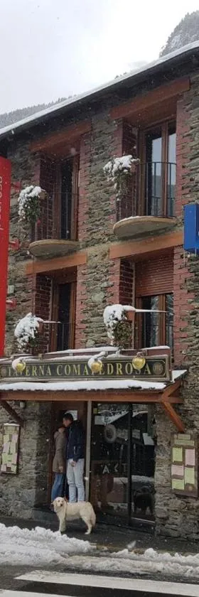 角派朵索酒店，位于阿林萨尔的酒店