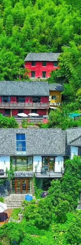 莫干山小木森森，位于德清的酒店
