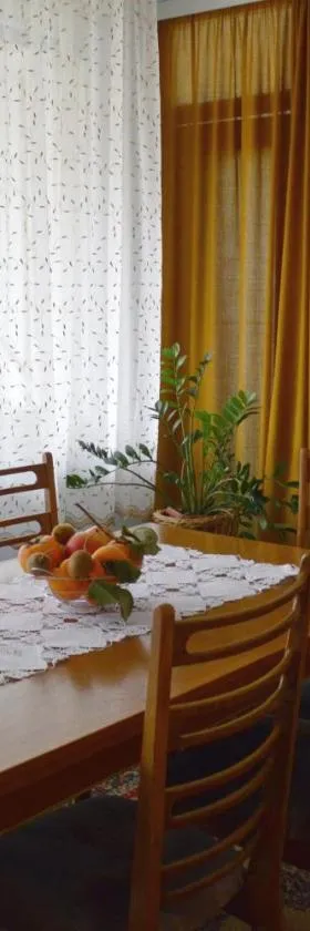Apartman Nikolic，位于博尔的酒店