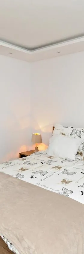 Prestige Apartament，位于埃尔布隆格的酒店