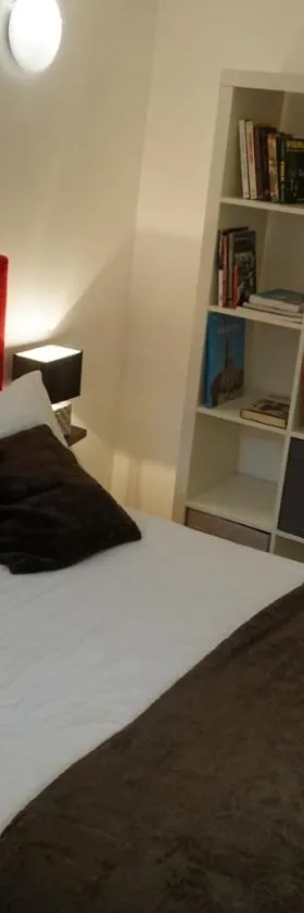 Appartement Larzilliere，位于圣米耶勒的酒店