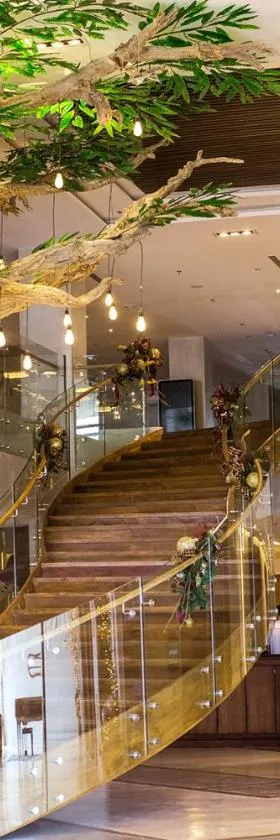 马约酒店，位于宿务的酒店