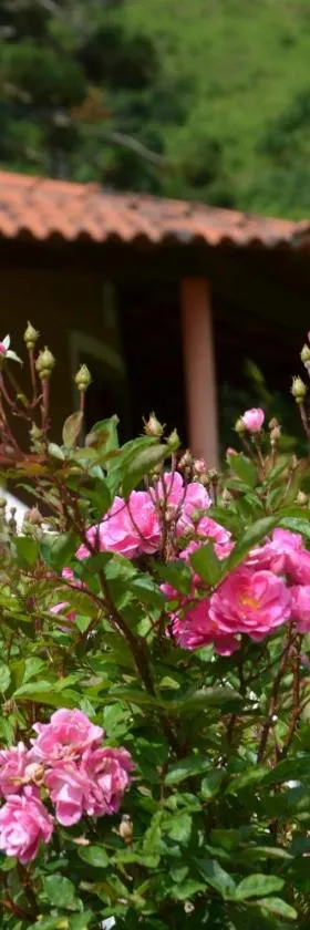 Pousada das Flores，位于贡萨尔维斯的酒店
