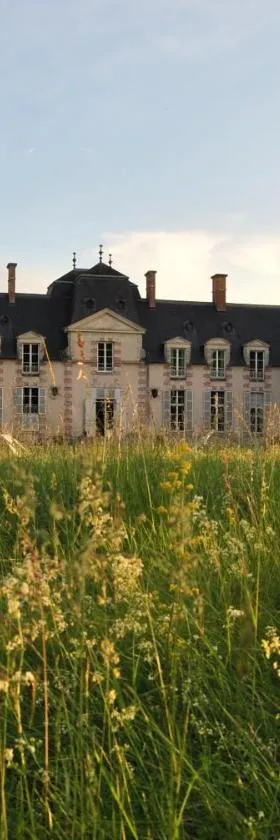 Chateau La Touanne Loire valley，位于Baccon的酒店