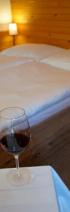 Penzion Čistá，位于切尔尼杜尔的酒店