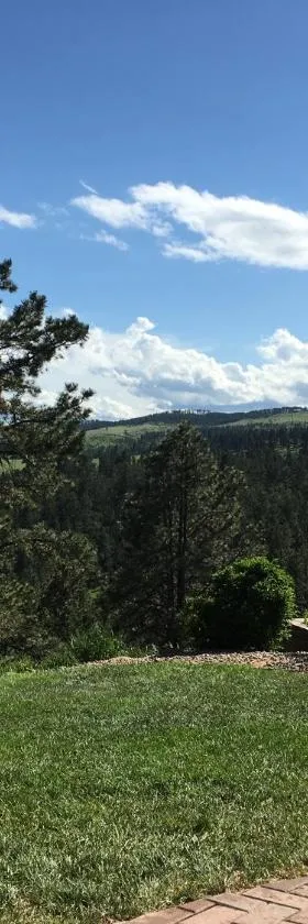 Priceless Black Hills View，位于拉皮德城的酒店