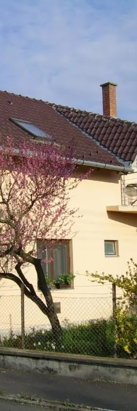 4Fenyő Magánszállás Nagyatád，位于瑙吉奥塔德的酒店