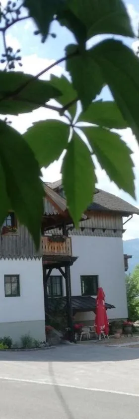 恩斯塔尔奥尔尼霍夫住宿加早餐旅馆，位于恩斯河谷艾根的酒店
