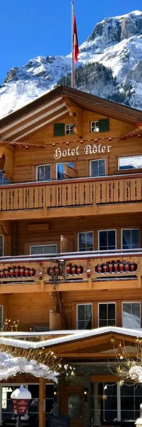 Chalet Hotel Adler，位于坎德施泰格的酒店