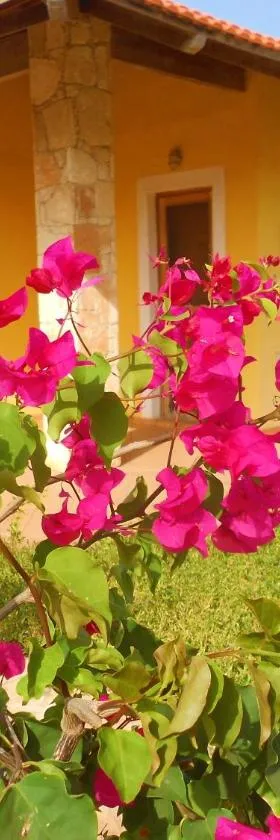 Villa Maris Ecolodge，位于Morro的酒店